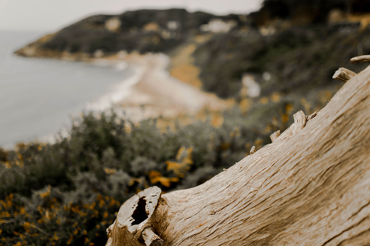 location photomaton en Normandie pour mariages et événements